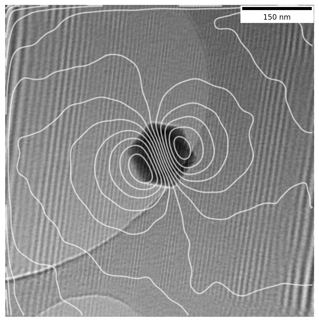 Magnetic contour lines overlayed on bright field image
